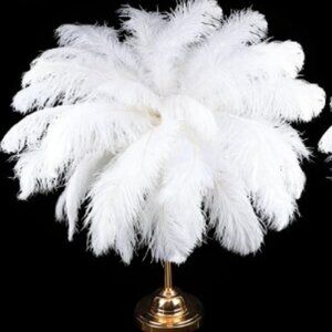 XunYee  Natural Ostrich Feathers Plumes Bulk for Centerpiece 16-18 Inch